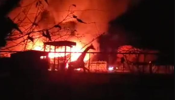 10 animals killed in fire at Ohio wildlife park (VIDEO)