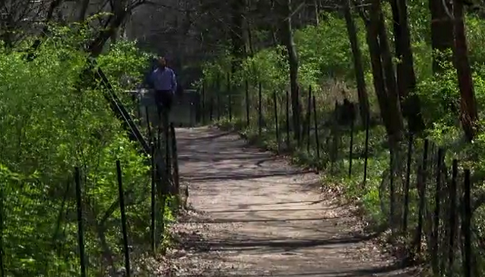 Living near green spaces could increase your lifespan: study