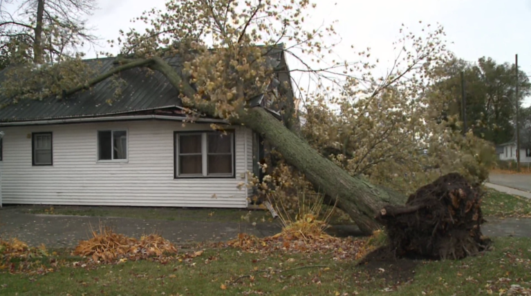 Power failures, wind damage and flooding after overnight storm