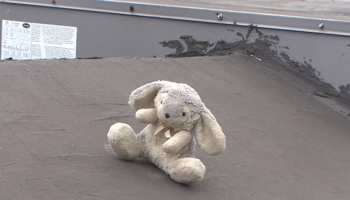 Stuff bunny that fell out of the Lancaster has been found