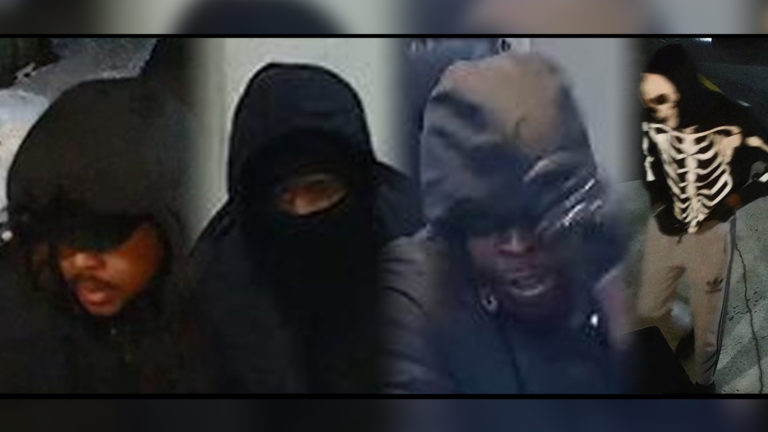 Police release video and photos of suspects from Hamilton mountain home invasion