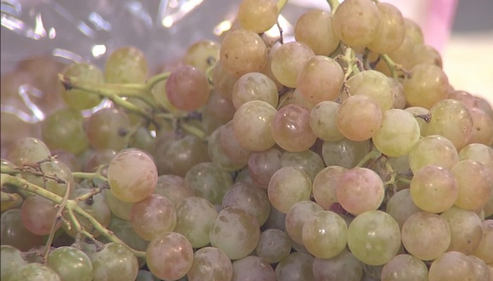 Cooking with grapes