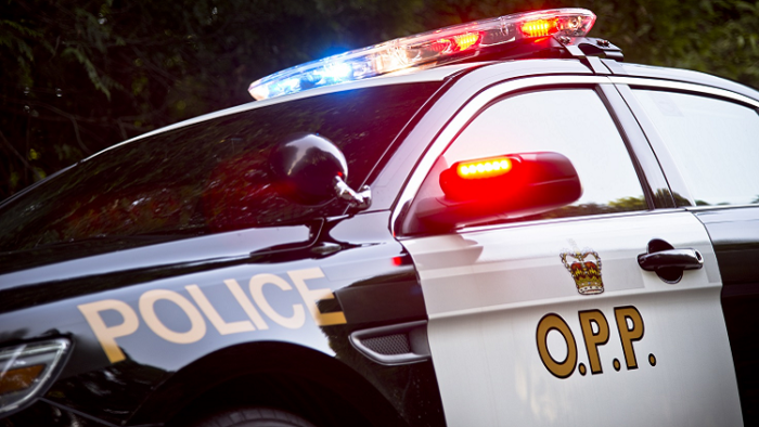 London man drowns after falling off boat: OPP