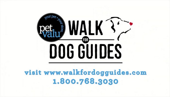 Virtual Walk for Guide Dogs
