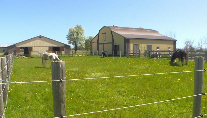 Equestrian facilities hit hard during the pandemic