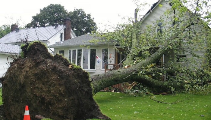 Cleaning up after the storm