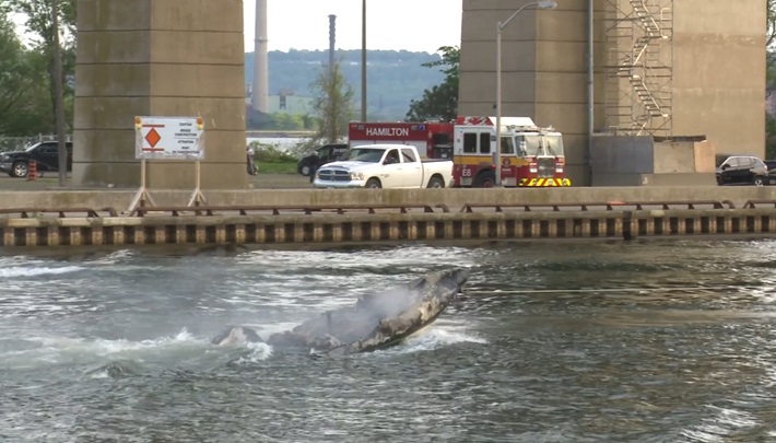 Boat fire on Lake Ontario