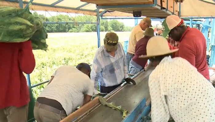 Protect migrant workers, Ford and Trudeau tell farmers