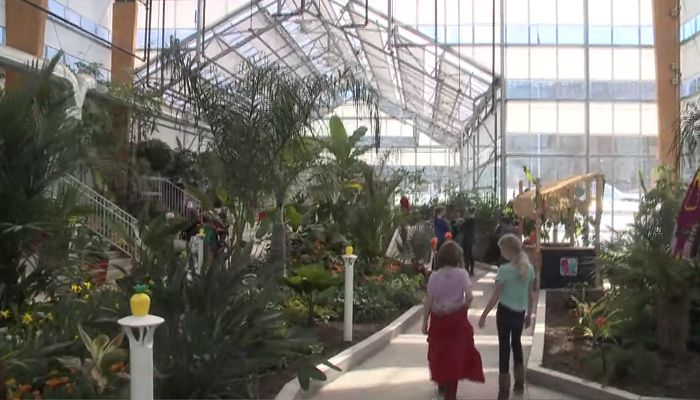 Hamilton set to reopen Gage Park Tropical Greenhouse