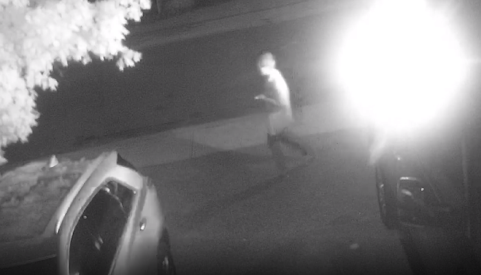 Hamilton Police release security video of suspected arson