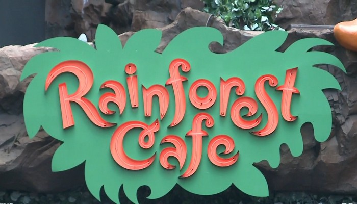 Rainforest Cafe server sent home for wearing face shield now allowed to wear one