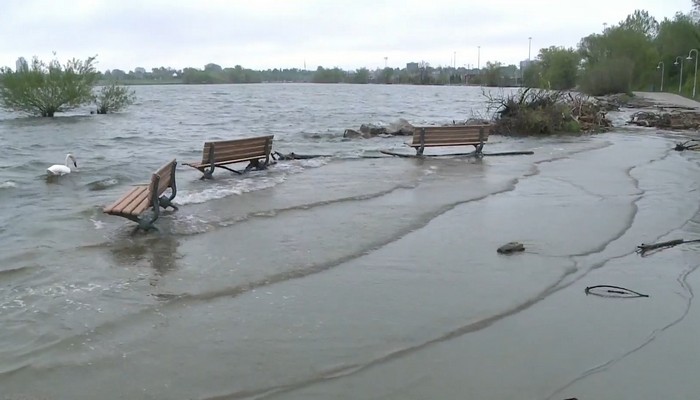 3 billion litres of wastewater bypassed Hamilton’s treatment plant into Lake Ontario last year