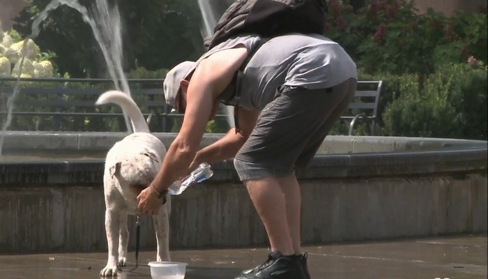 Hot weather continues this summer as Environment Canada issues a heat warning