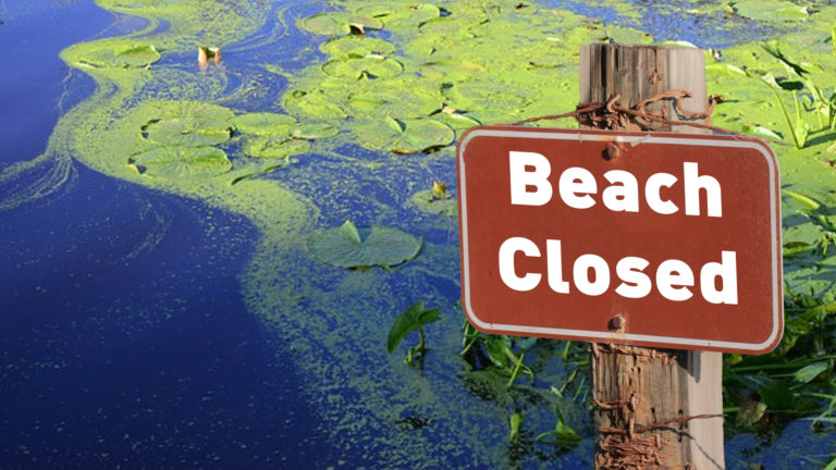 Christie Lake closed due to possible blue-green algae