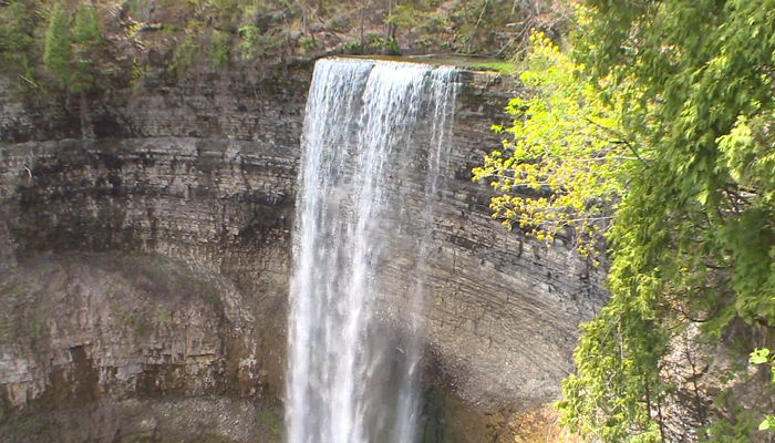 Spencer Gorge Conservation Area to reopen with new booking system