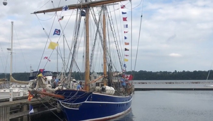 Tall ships sail into the Hamilton harbour