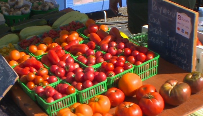 Rockton’s World Fair transformed into a farmer’s market this year