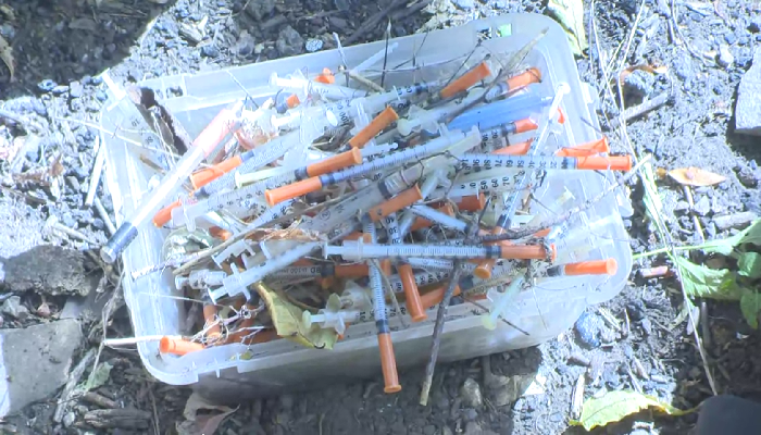 East end Hamilton residents pick up needles from rail track area