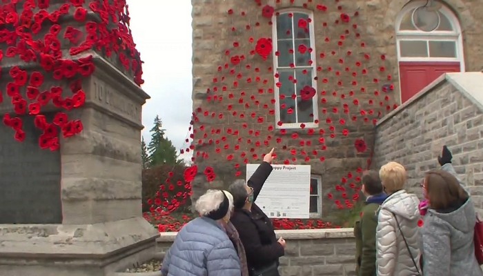 Group of women in Niagara produces thousands of poppies all crocheted by hand