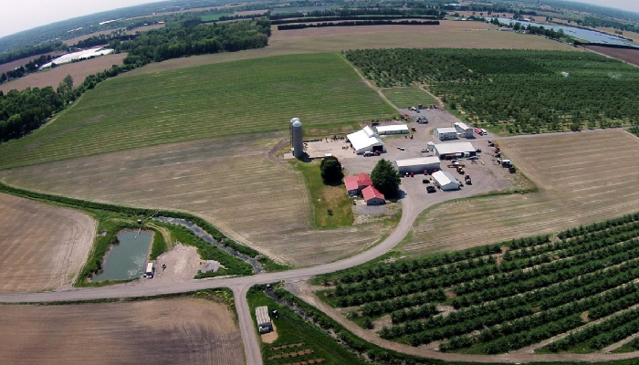 COVID-19 outbreak declared at Simcoe farm