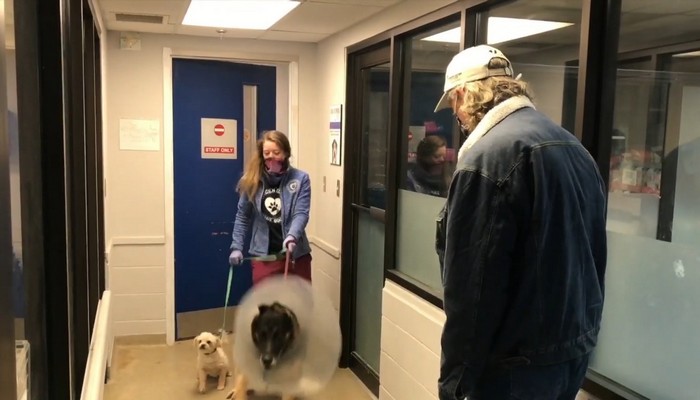 Emotional reunion for a Niagara man with the dogs he had to give up after losing his home