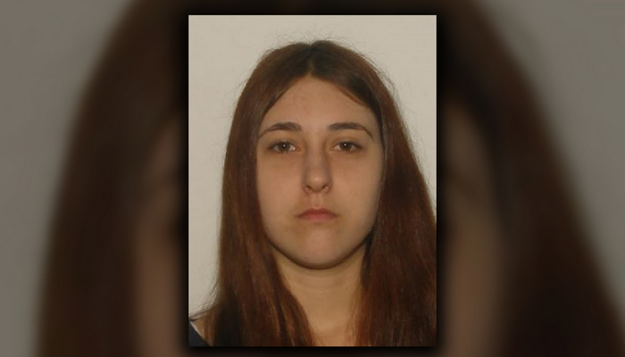 Brant OPP searching for missing teen