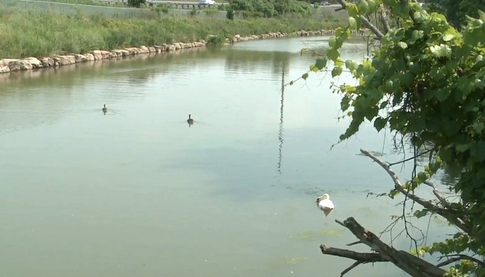 City of Hamilton pleads guilty to charges over Chedoke Creek sewage spill