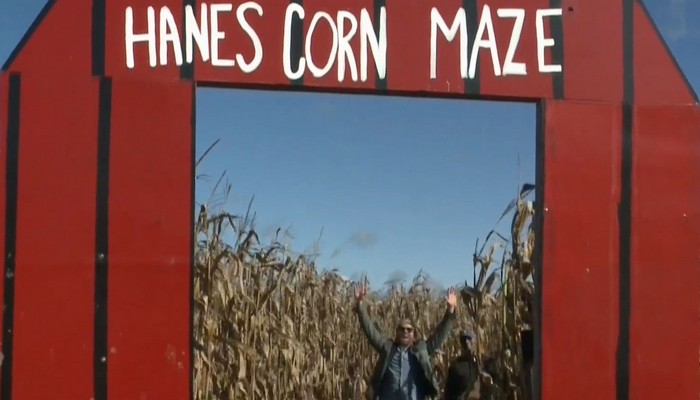 Having an a-maze-ing Fall day at Hanes Corn Maze