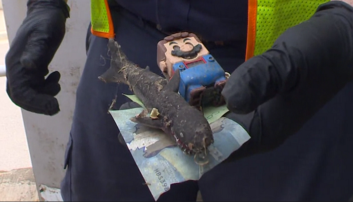 Hamilton reveals 7 bizarre items flushed down toilets