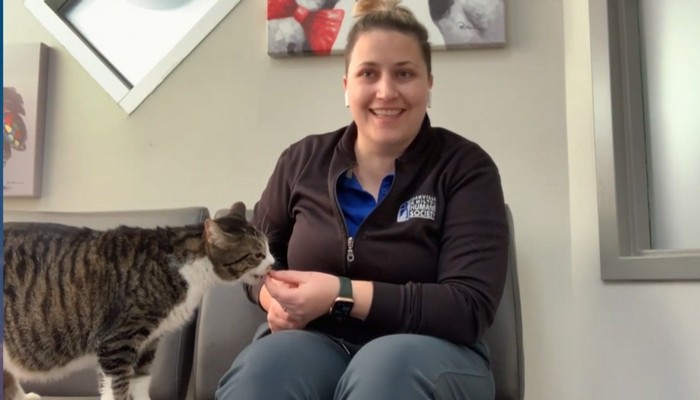 Adopt 9-year-old Sasha from the Oakville Milton Humane Society