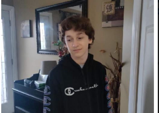 Missing Hamilton teen