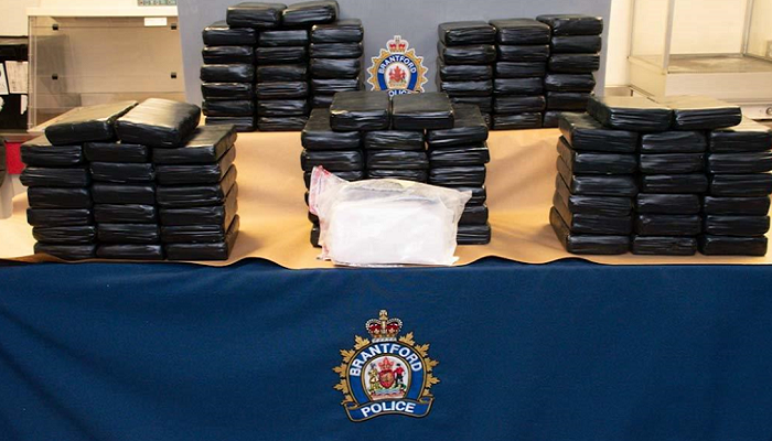 Police seize $12M in cocaine in Brantford drug smuggling investigation