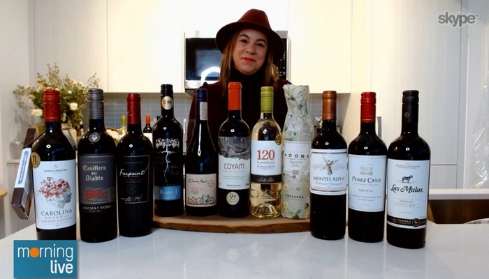 15 sustainable Chilean wines you must try at the LCBO