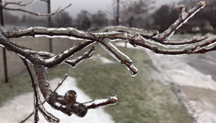 Special weather statement in effect with freezing rain expected Wednesday