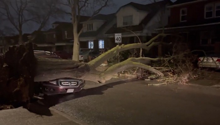 Hamilton residents continue to clean up damage after a fierce wind storm