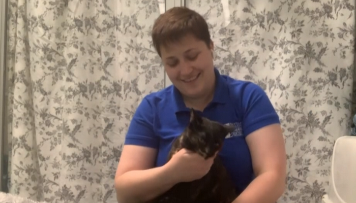 Oakville & Milton Humane Society introduces Cinnamon the cat