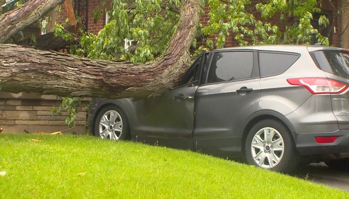 Storm cleanup continues