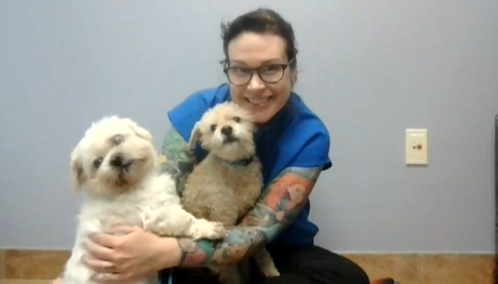 Hamilton/Burlington SPCA introduces Bobby and Toby