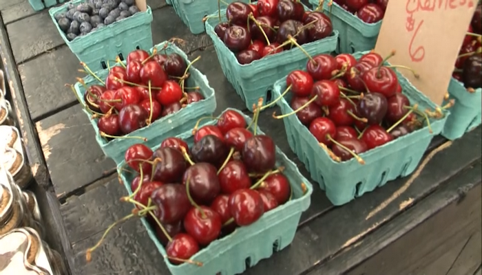 Fruits and vegetables of the Romagnoli family’s labour