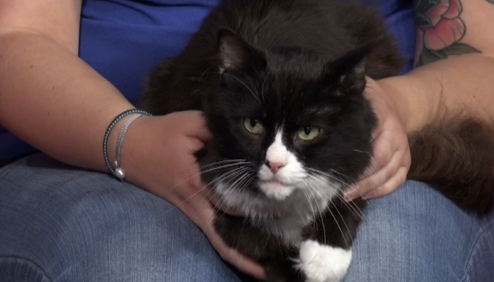 Oakville & Milton Humane Society introduces us to Alex