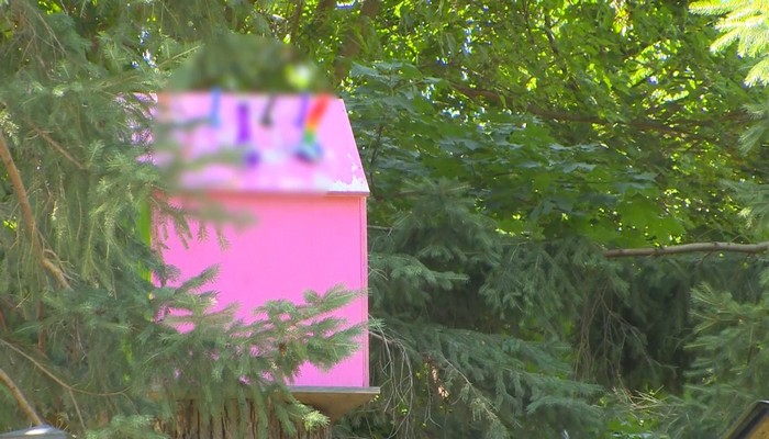 Burlington resident creates backyard sex toy display in retaliation of bylaw dispute