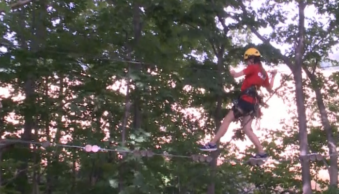 Live life in the trees at Treetop Trekking Hamilton