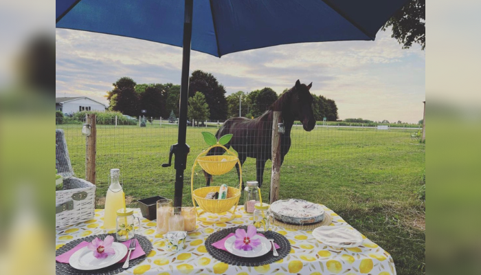 Local wellness farm gives guests a “piece of peace”