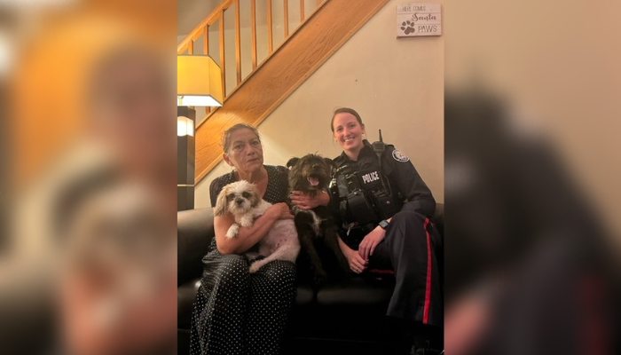 Dogs stolen at knifepoint in Toronto returned safely to owner