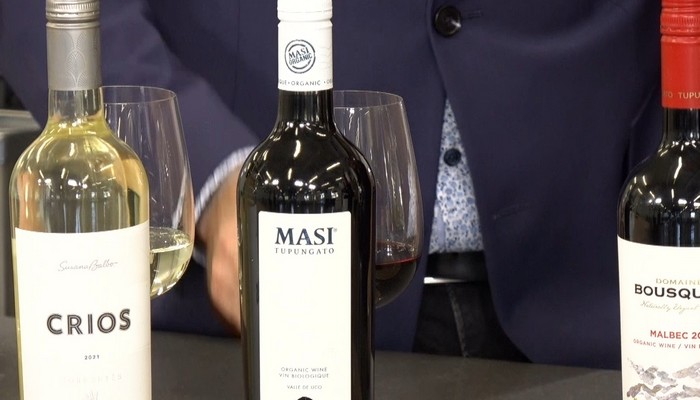 Super Wine Girl showcases wine from Argentina