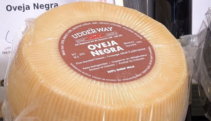 Local cheese shop awarded best sheep milk cheese in the world