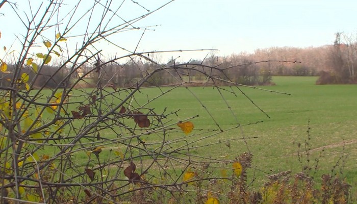 Ontario homes to not be built on floodplains, Ford says after fed warning