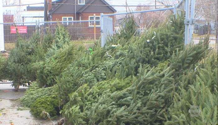 East Hamilton Optimist Club opens Christmas tree lot