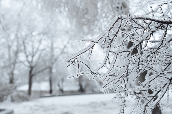 Heavy snow, freezing rain to hit southern Ontario starting Thursday