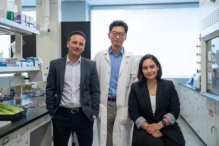 McMaster research team develops new spray to decontaminate food